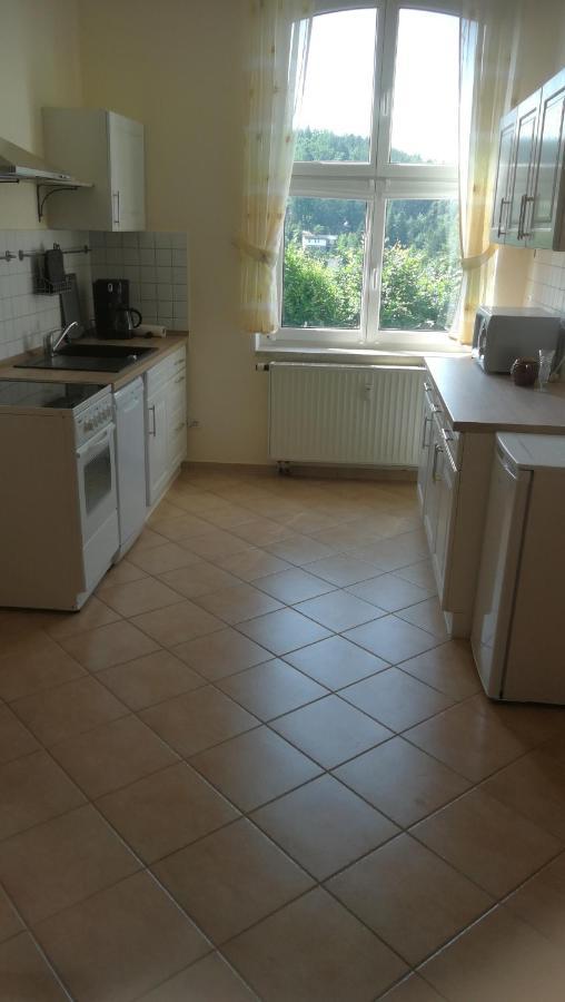 Ferienwohnung Sonnenblick Burkhardtsdorf Ngoại thất bức ảnh